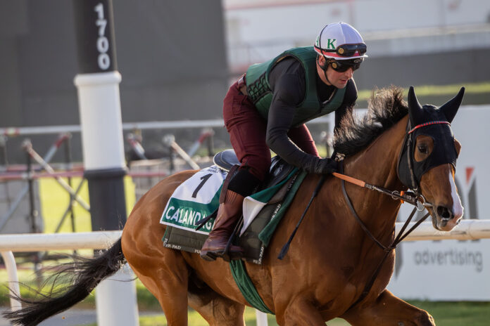 Calandagan (Archiv) Foto: DRC Calandagan (Archiv) Foto: DRC