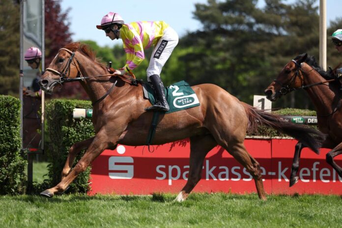 Calcutta Cup siegt unter Robin Weber