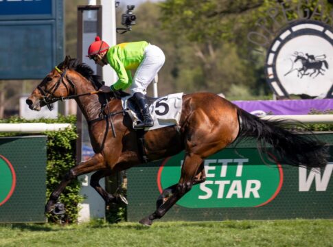 Cherub Rock verhindert fünften Hammer-Hansen-Sieg Cherub Rock siegt unter Wladimir Panov