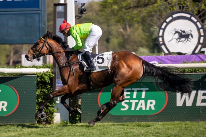 Cherub Rock siegt unter Wladimir Panov