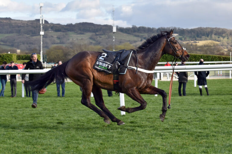 „Bester Springer, den man je sehen wird“ – Vertrauen in Constitution Hill