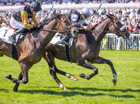 Wieder Grewe und Hammer-Hansen: Daydream Express jetzt Black Type-Siegerin Daydream Express siegt unter Thore Hammer-Hansen in der Siedler & Kowalski Malermeister GmbH Hoppegartener Stutenmeile