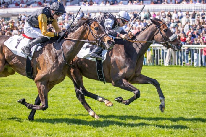 Daydream Express siegt unter Thore Hammer-Hansen in der Siedler & Kowalski Malermeister GmbH Hoppegartener Stutenmeile