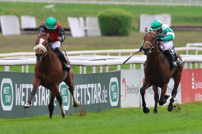 Delgardo siegt unter Eduardo Pedroza