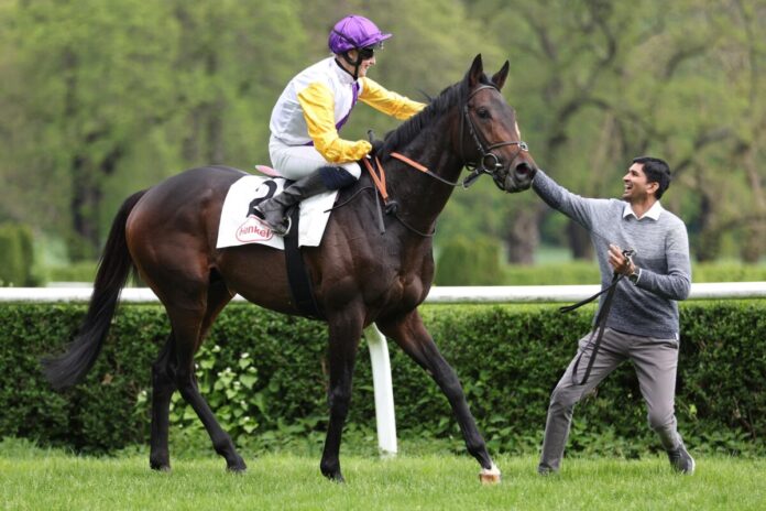 Quinto siegt unter Sibylle Vogt