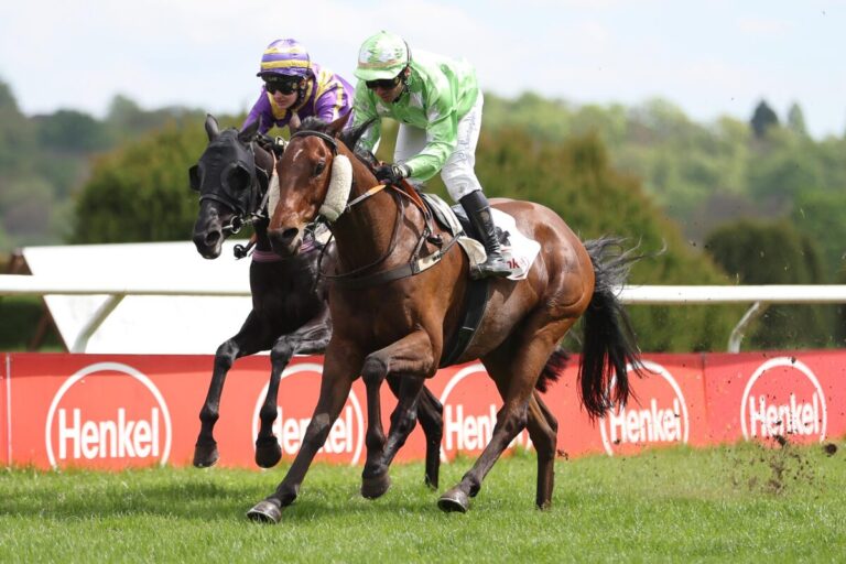 Belgischer Treffer – Don Ilias aus dem Jacobs-Stall siegreich