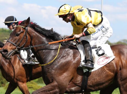 Um die Ecken geht es – Asaaleeb gewinnt für Hinzmann Asaaleeb siegt unter Thore Hammer-Hansen