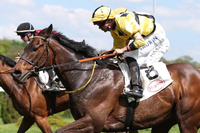 Asaaleeb siegt unter Thore Hammer-Hansen