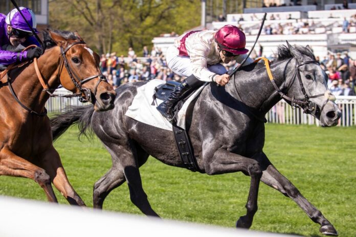 Fire and Ice siegt unter Rene Piechulek