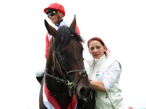 Geography erstmals als Wallach: „Sind mit guten Chancen am Start“ Geography