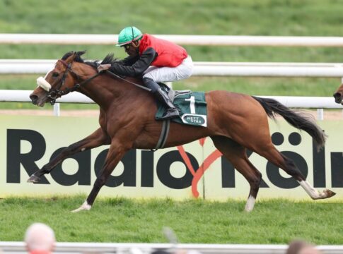 Delgardo stellt die Form richtig - Wöhler-Schützling kommt nach Hause Delgardo siegt unter Eduardo Pedroza