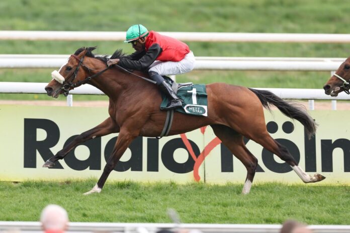 Delgardo siegt unter Eduardo Pedroza