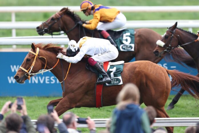 Ellerstina siegt unter Andrea Ricupa