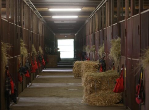 Von München nach Mülheim - Kalysbek Uulu nun bei Marcel Weiß Der Diana-Stall