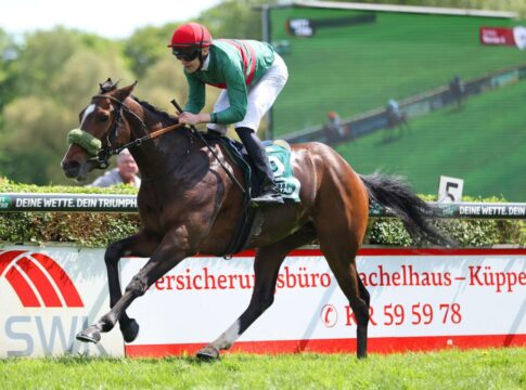 Wallach Namaron hat „sein Derby“ – Sieg im Dr. Busch-Memorial Namaron siegt unter Leon Wolff im Großer Preis der Wohnstätte Krefeld – Dr. Busch-Memorial,Gr.3