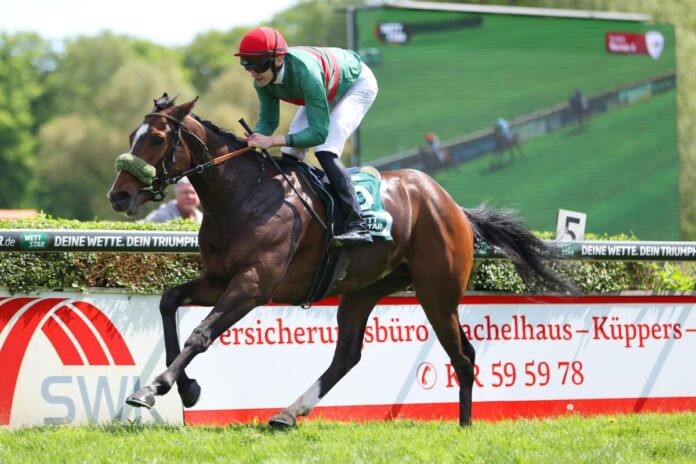 Namaron siegt unter Leon Wolff im Großer Preis der Wohnstätte Krefeld – Dr. Busch-Memorial,Gr.3