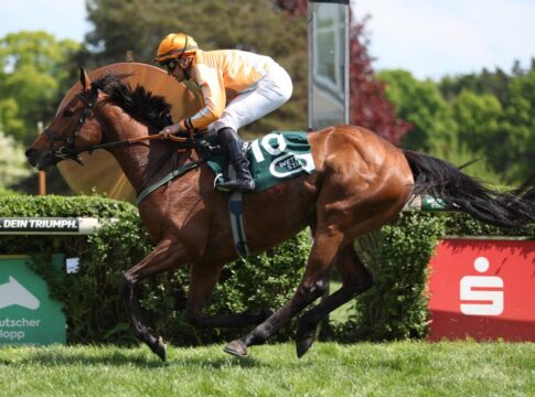 Fuhrmann Eins-Zwei in der Sprint-Viererwette in Krefeld Nation Of Stars siegt unter Wladimir Panov