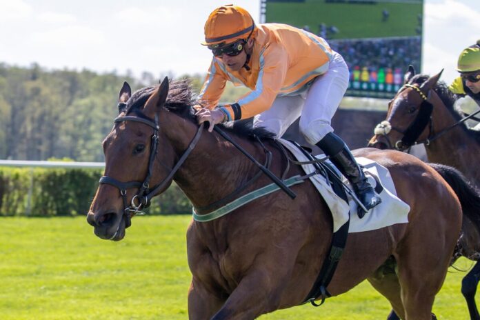 Nation of Stars siegt unter Wladimir Panov