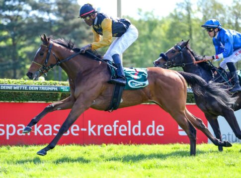 Nightdance Wood siegt unter Eduardo Pedroza