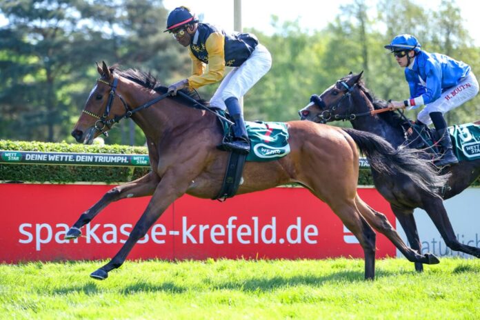 Nightdance Wood siegt unter Eduardo Pedroza