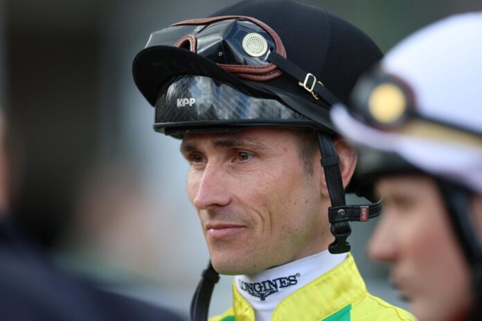 Rene Piechulek Rene Piechulek