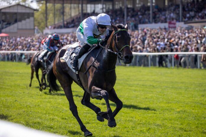 Quiara siegt unter Sibylle Vogt