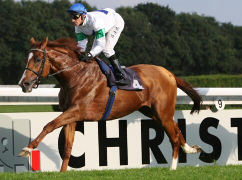 Schiaparelli unter Andrasch Starke