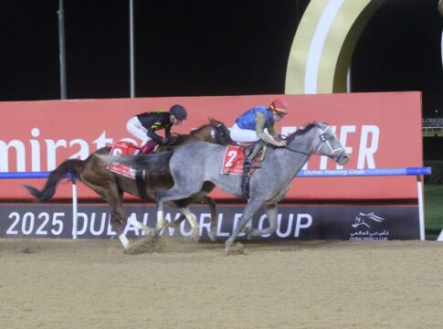 SpW25MeydanWorldCup Hit Show unter Geroux vor Mixto in einem US-Einlauf Foto hemke EY5B7452