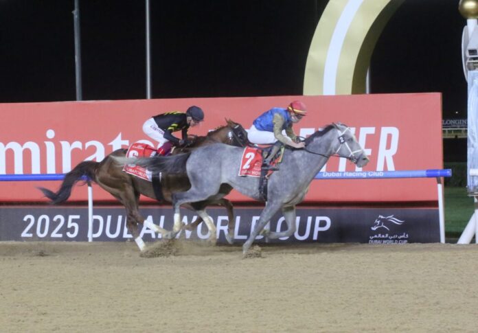 SpW25MeydanWorldCup Hit Show unter Geroux vor Mixto in einem US-Einlauf Foto hemke EY5B7452