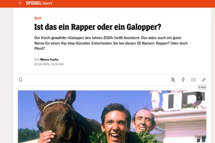 Spiegel
