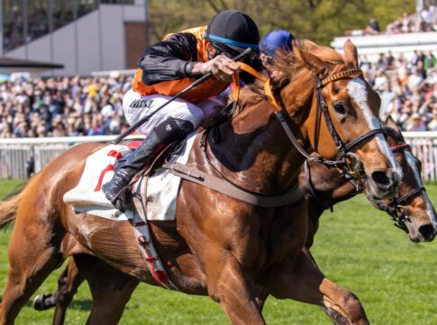 Venedig sorgt für Heimsieg: Germanius-Zweierwette bei den Dreijährigen Venedig siegt unter Michael Cadeddu