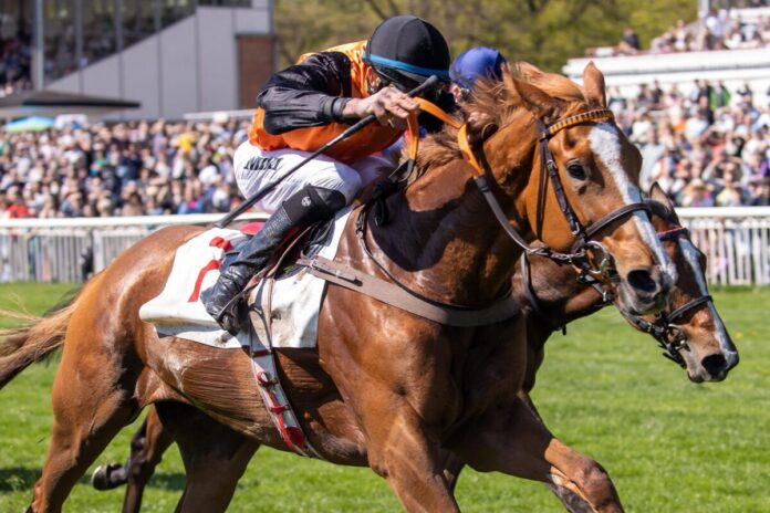 Venedig siegt unter Michael Cadeddu
