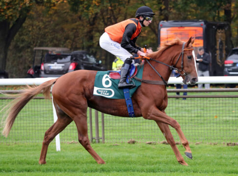 Derbysonntag: Noch acht im Stutenpreis - Nur Starlight Lips noch ohne Reiter Venedig