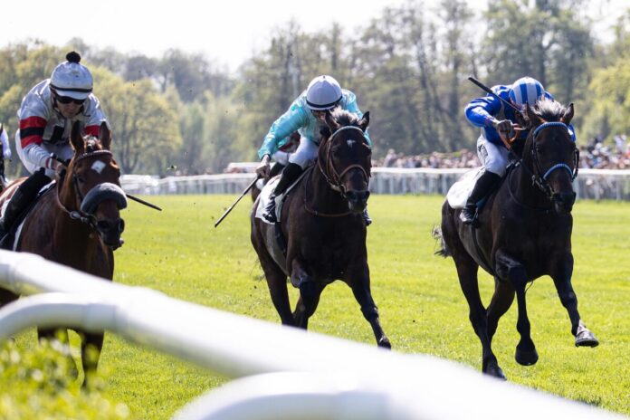 Wilko siegt unter Thore Hammer-Hansen FINUM.Private Finance AG Preis von Dahlwitz