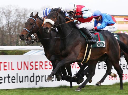 Plus vier – Jetzt 19 Pferde im Grossen Preis von Tattersalls Wintertraum siegt unter Michal Abik im Grand Prix-Aufgalopp