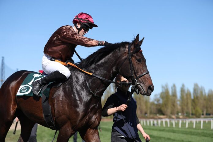 Zuckerhut siegt unter Sibylle Vogt Zuckerhut siegt unter Sibylle Vogt