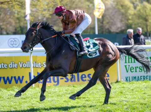 Süßer Zuckerhut-Sieg: Schiergen noch einen Treffer vom 2.000 entfernt Zuckerhut