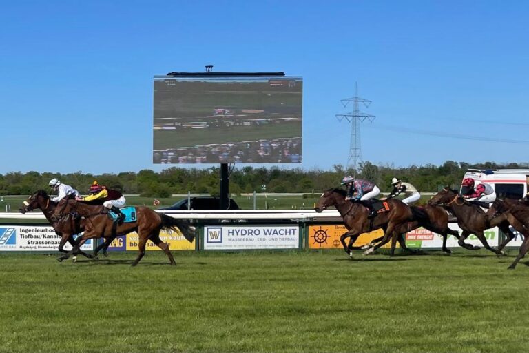 Cherry Brandy entführt Magdeburger Highlight für Richter nach Dresden