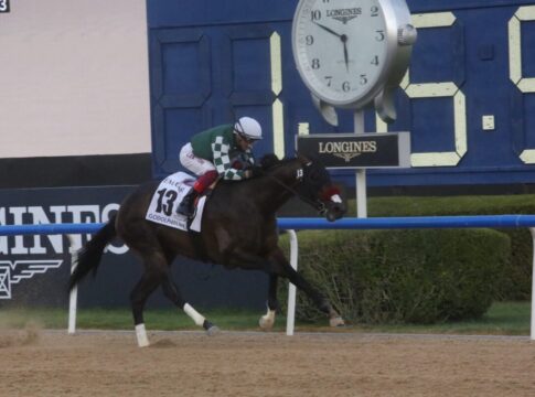 Zum Achten Mal: Dettori gewinnt mit Raging Torrent die Godolphin Mile Raging Torrent