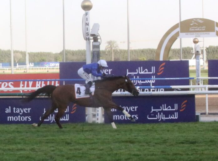 Dubai Future Dubai Future