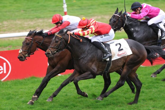 Geography (hinten) siegt