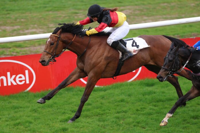 Rockstar Martini siegt