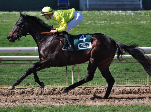 Polen: Zwei deutsche Pferde für Westminster Derby genannt Al Hamza