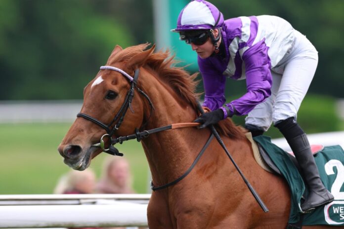 Alpenjäger siegt unter Sibylle Vogt