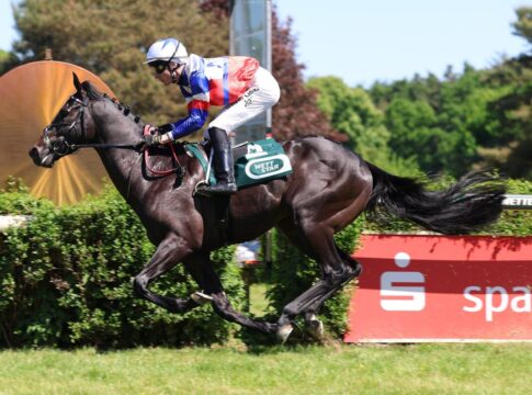 Ascot Royal gibt sich keine Blöße – Große Sprint-Rennen im Blick Ascot Royal siegt unter David Liska