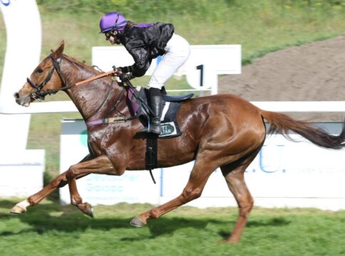 Cabot Cliffs am Samstag schon beim Harzburg-Start dabei Cabot Cliffs siegt unter Anna van den Troost