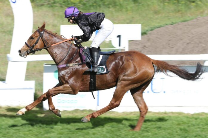 Cabot Cliffs siegt unter Anna van den Troost