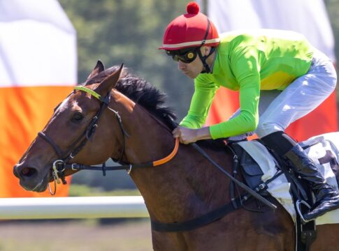 Cherub Rock legt nach - Nächster Start wohl in Polen Cherub Rock siegt unter Corentin Berge