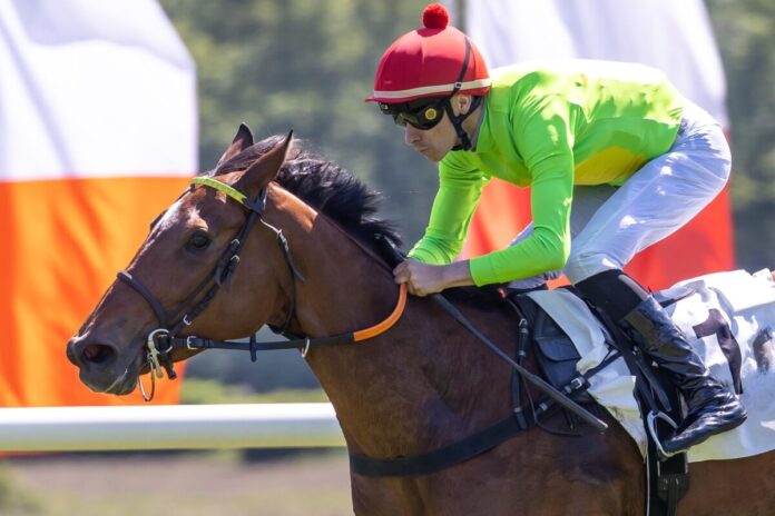 Cherub Rock siegt unter Corentin Berge Cherub Rock siegt unter Corentin Berge