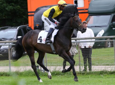 Nach Baden-Streichungen: 12 im GP, 14 im Trial und 7 in der Meile Queimados